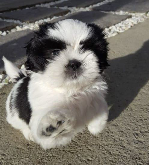 10-IMG-20260113-WA0093