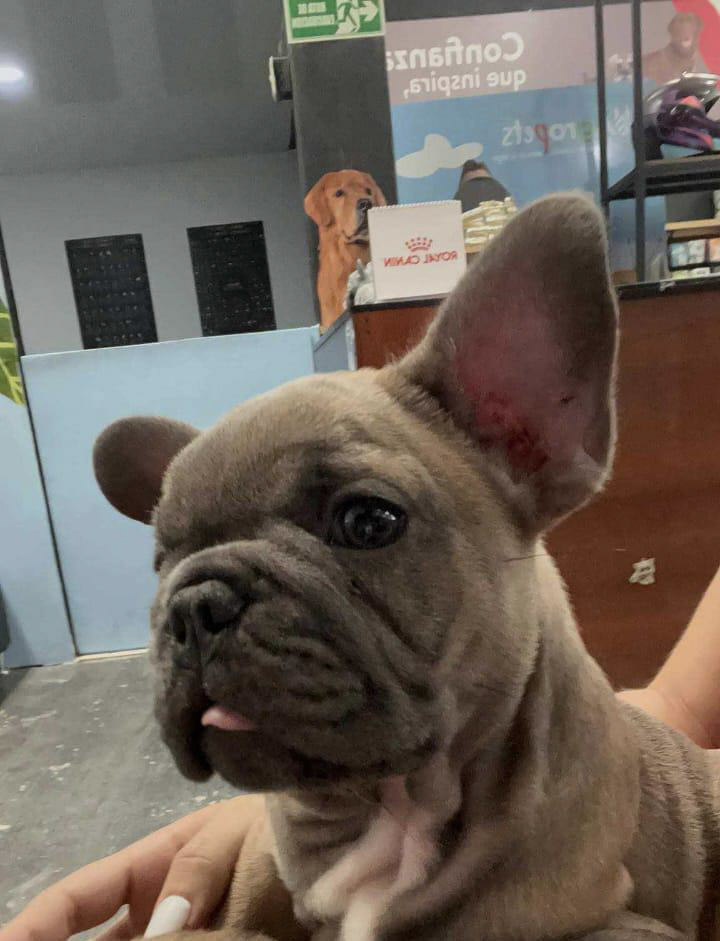 6-IMG-20260113-WA0063